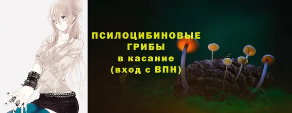ешки Новокубанск
