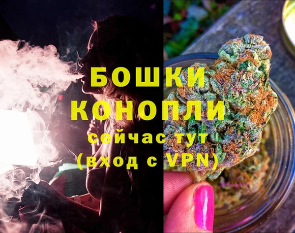 первитин Новодвинск