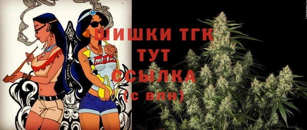 первитин Новодвинск