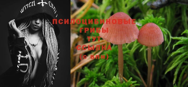 марки lsd Новозыбков