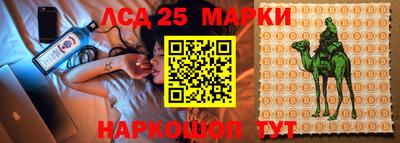 гидропоника Гагарин