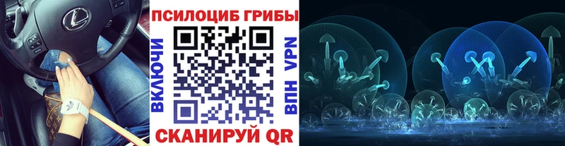 Псилоцибиновые грибы прущие грибы  omg   Карпинск 