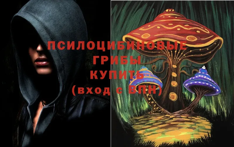 Галлюциногенные грибы Psilocybe  Карпинск 